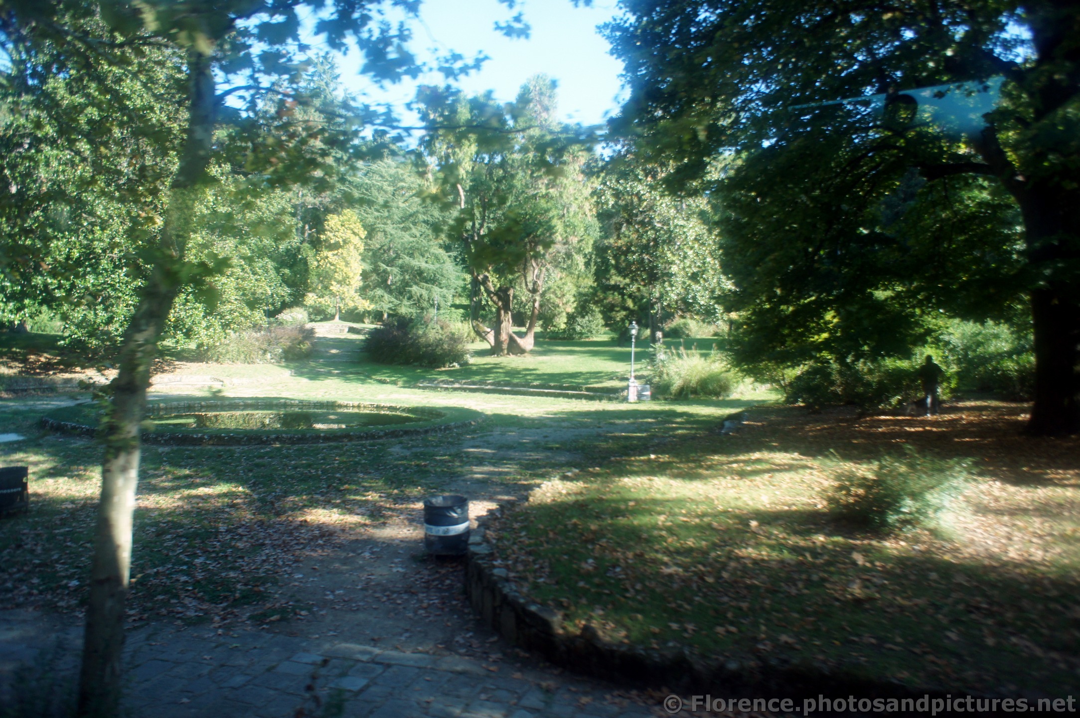 Trees, leaves and grass at Boboli Gardens Florence.jpg