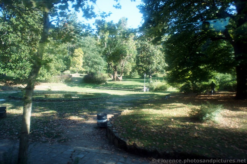 Trees, leaves and grass at Boboli Gardens Florence.jpg