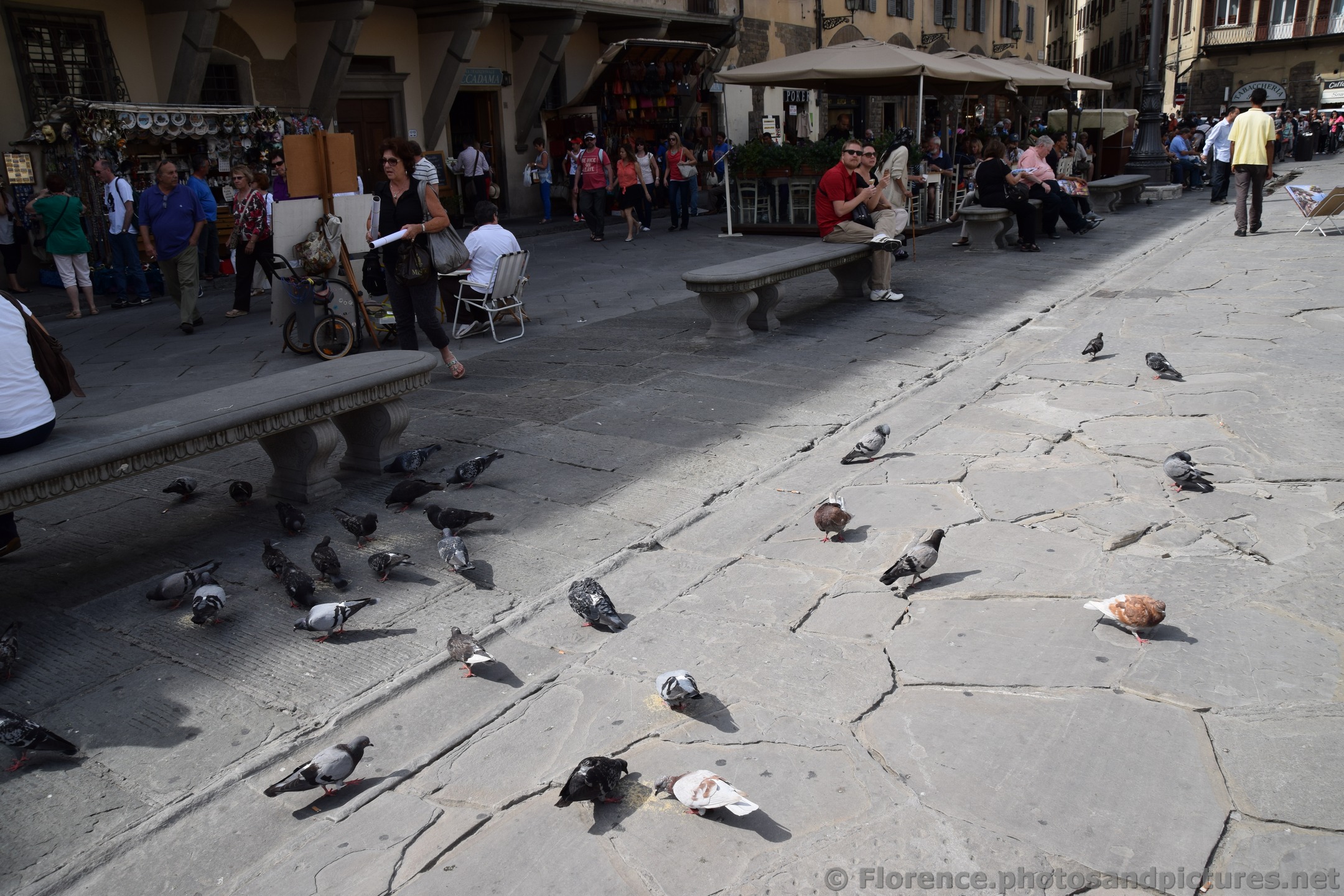 Pigeons eating at Piazza Santa Croce Square.jpg