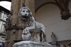 Vacca's Medici Lion Sculpture at Piazza della Signoria.jpg