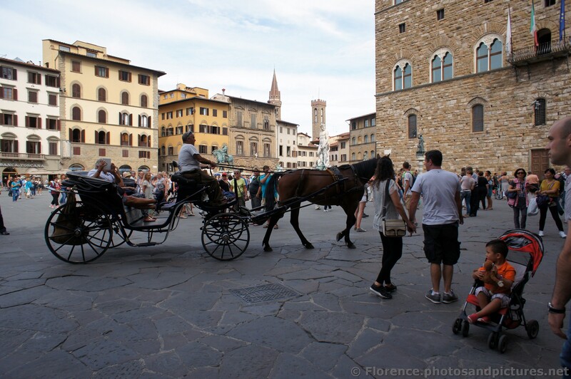 Horse Carriage Tour at Piazza della Signoria.jpg